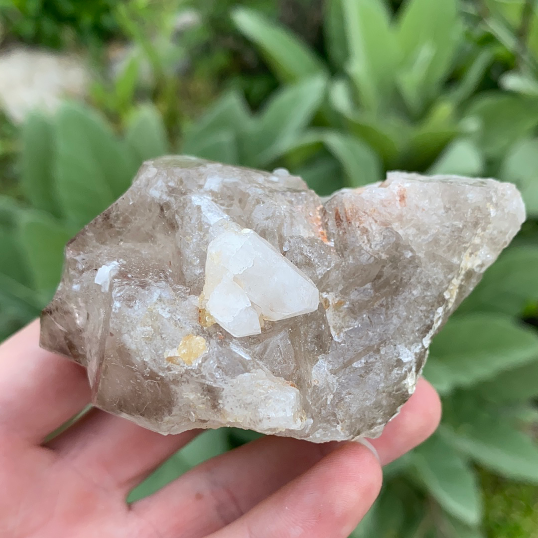 Smoky Elestial Quartz Cluster-ELE2-17