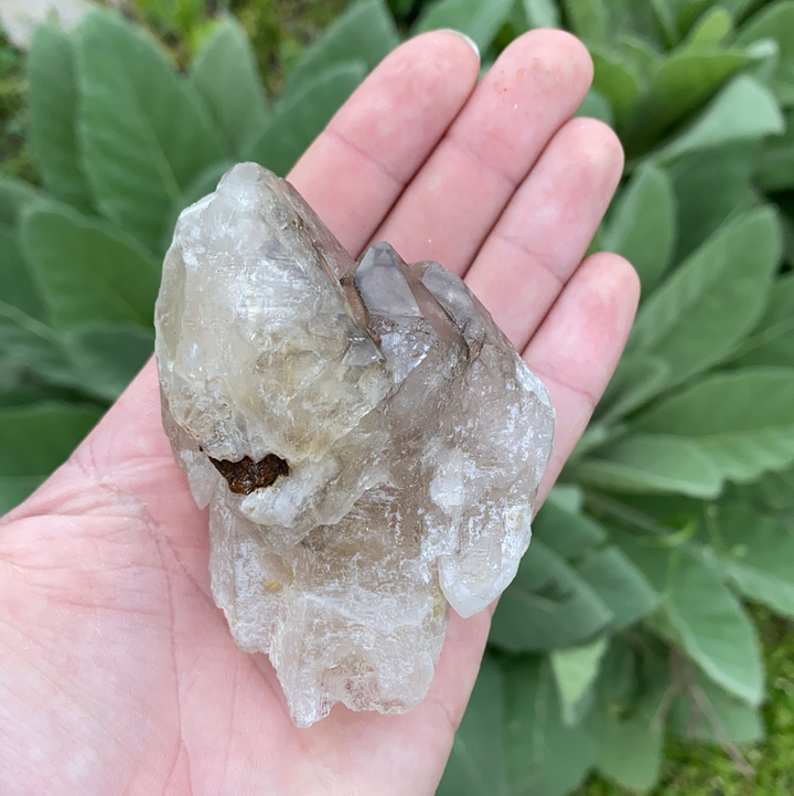 Smoky Elestial Quartz Cluster-ELE2-13