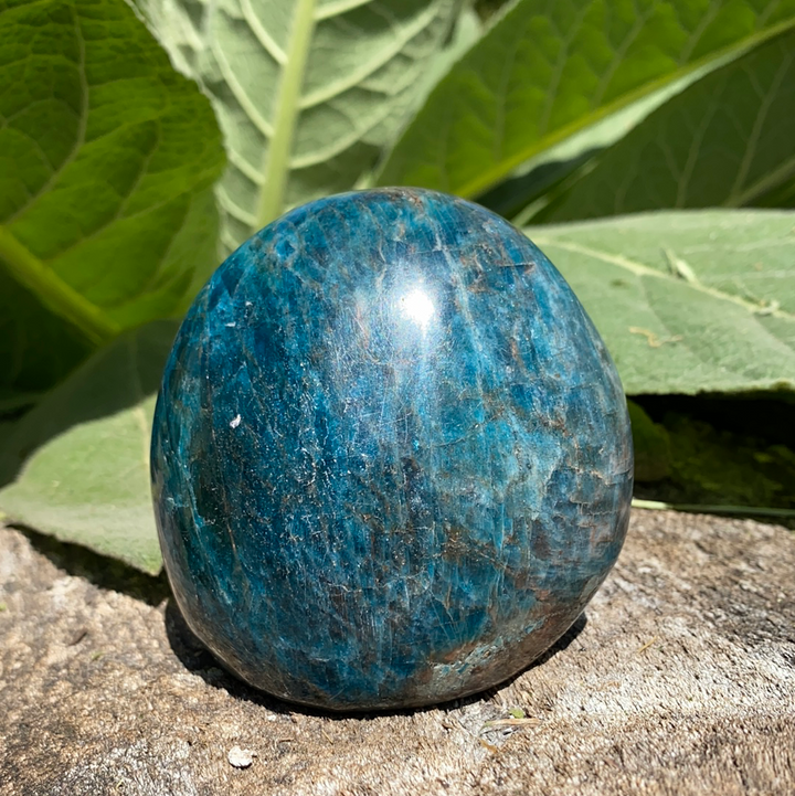 Blue Apatite Free Form-FF22-4