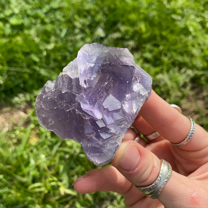 Fluorite Specimen-FLU1-12WZ