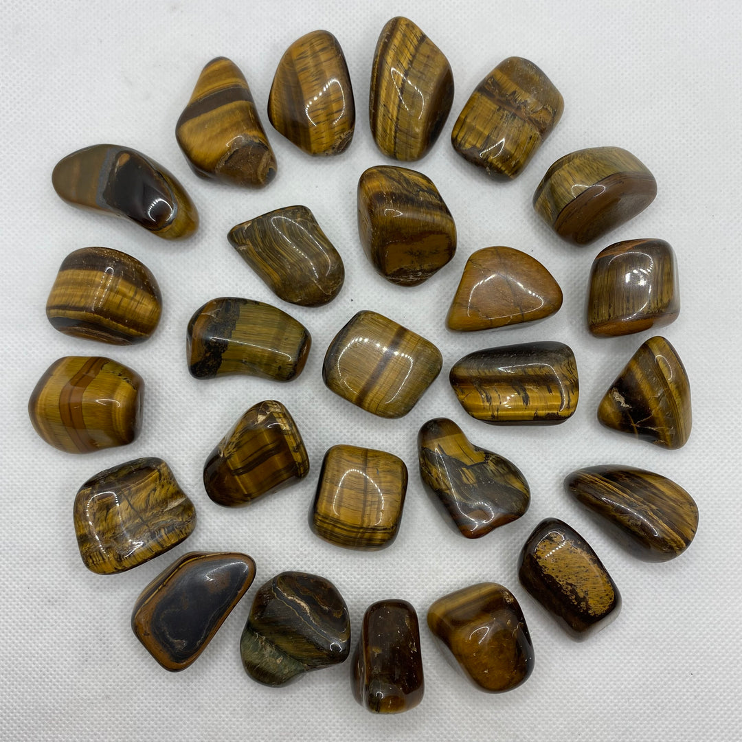 Tiger Eye (Gold) Polished T303