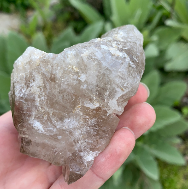 Smoky Elestial Quartz Cluster-ELE2-17