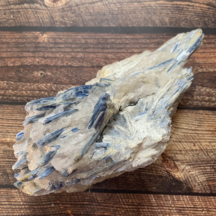 Blue Kyanite Rough Specimen BKY1-2