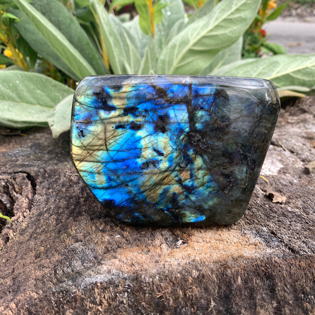 Labradorite Free Form FF3-WZ1074