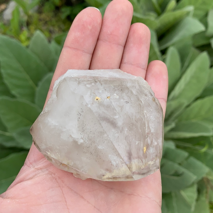 Smoky Elestial Quartz Cluster-ELE2-12