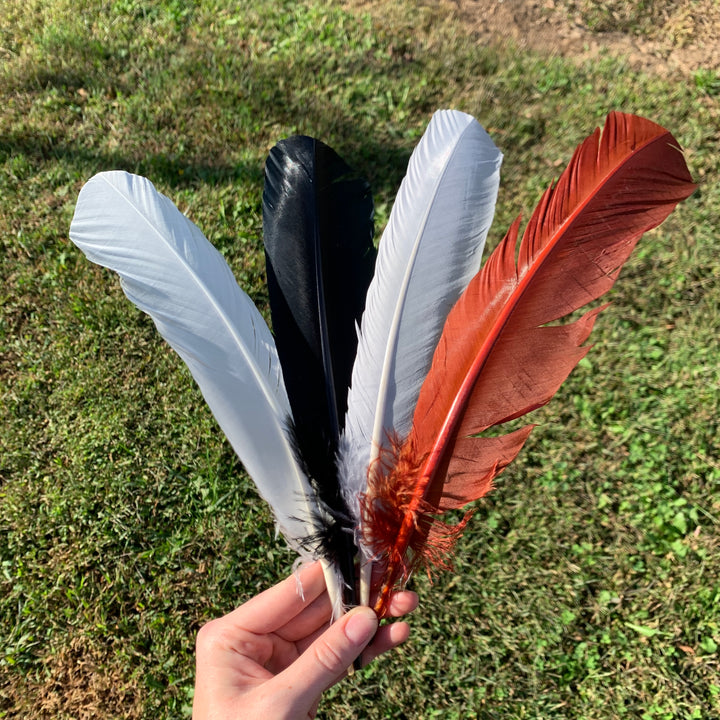 Smudge Feather Single KDSF