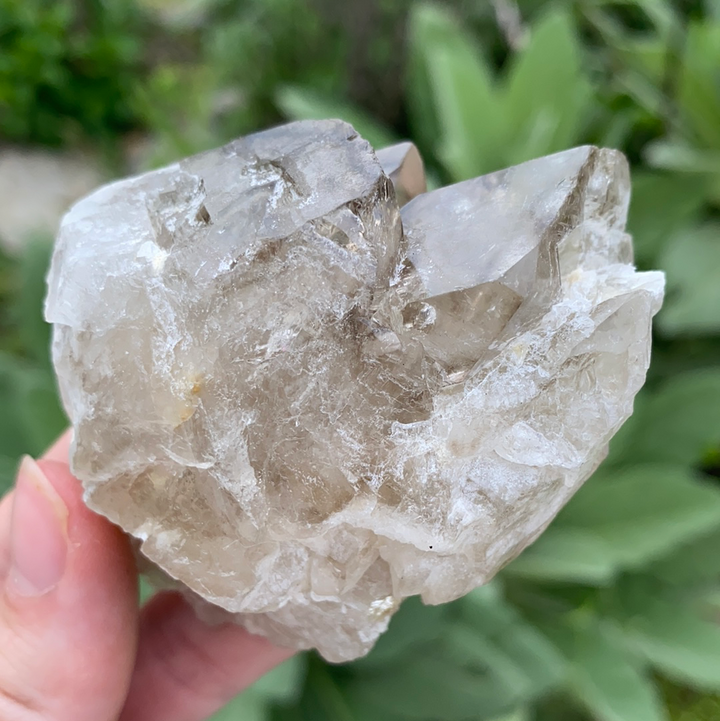 Smoky Elestial Quartz Cluster-ELE2-13