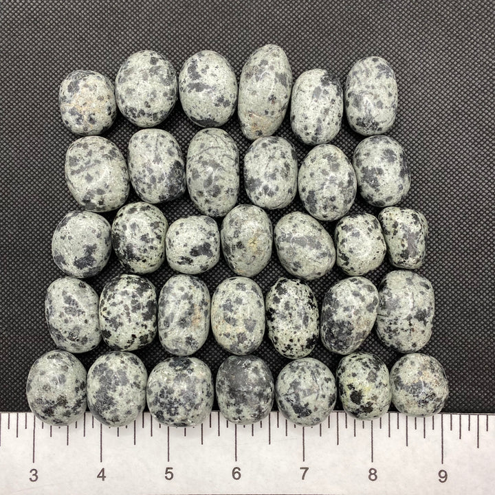 Jasper (Dalmatian) Polished J234