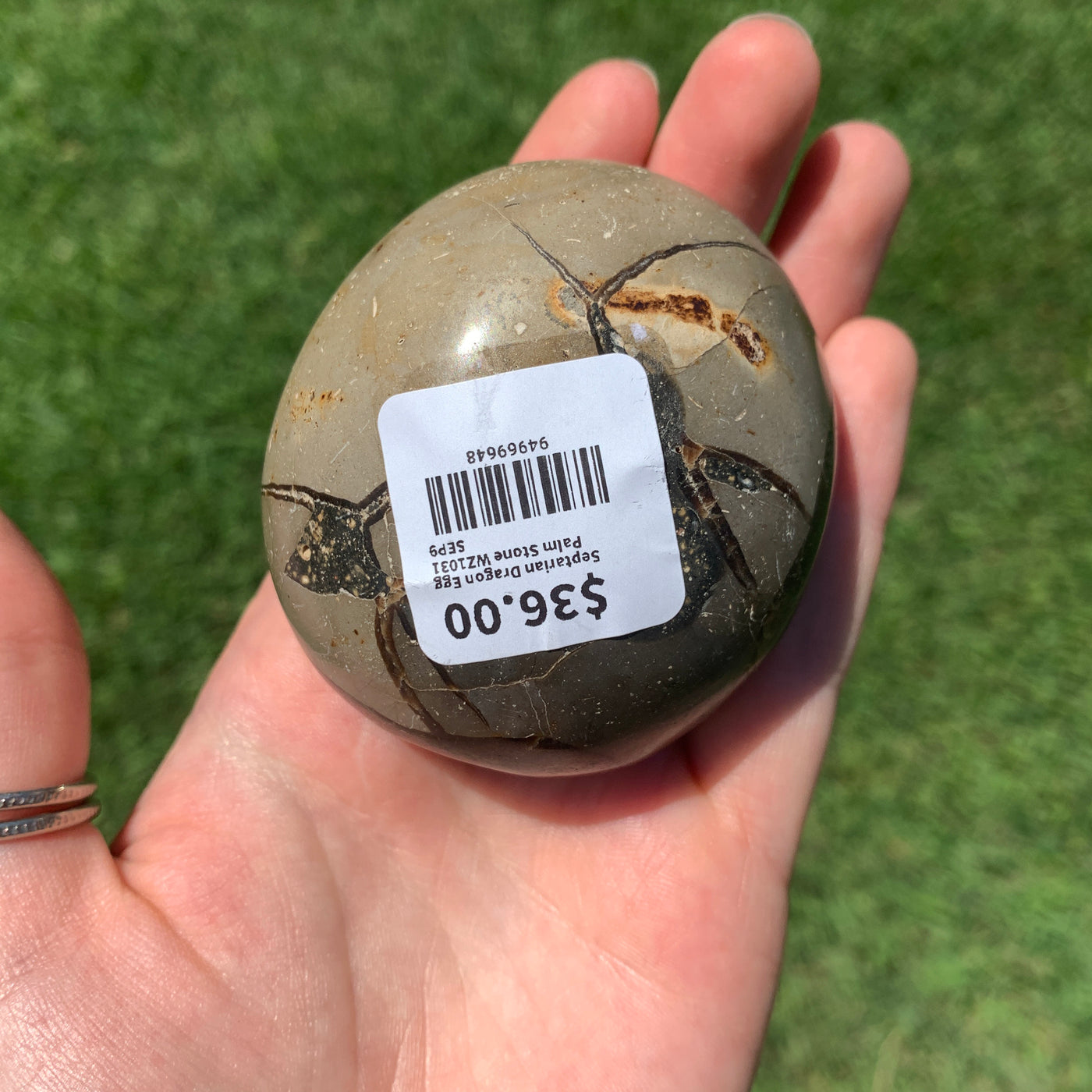 Septarian Dragon Egg Palm Stone PS13-4