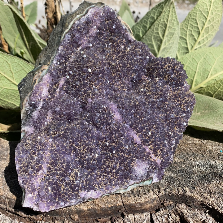 Black Amethyst Cut Base  RD25