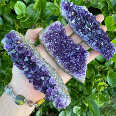 Amethyst Cluster AME11-6