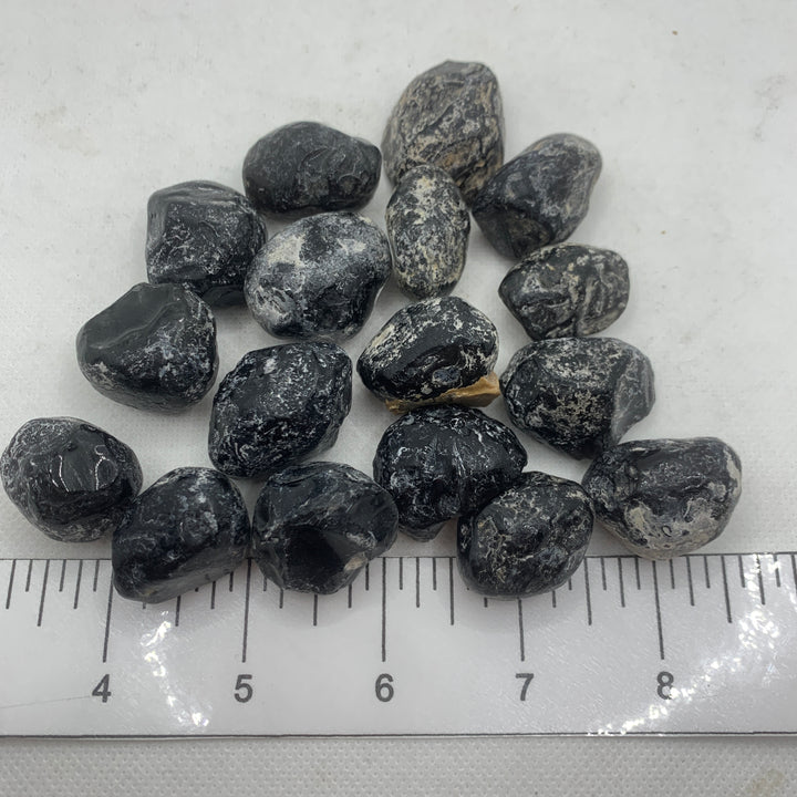 Obsidian (Apache Tear) Tumbled O209