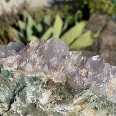 Amethyst Cluster CCC31