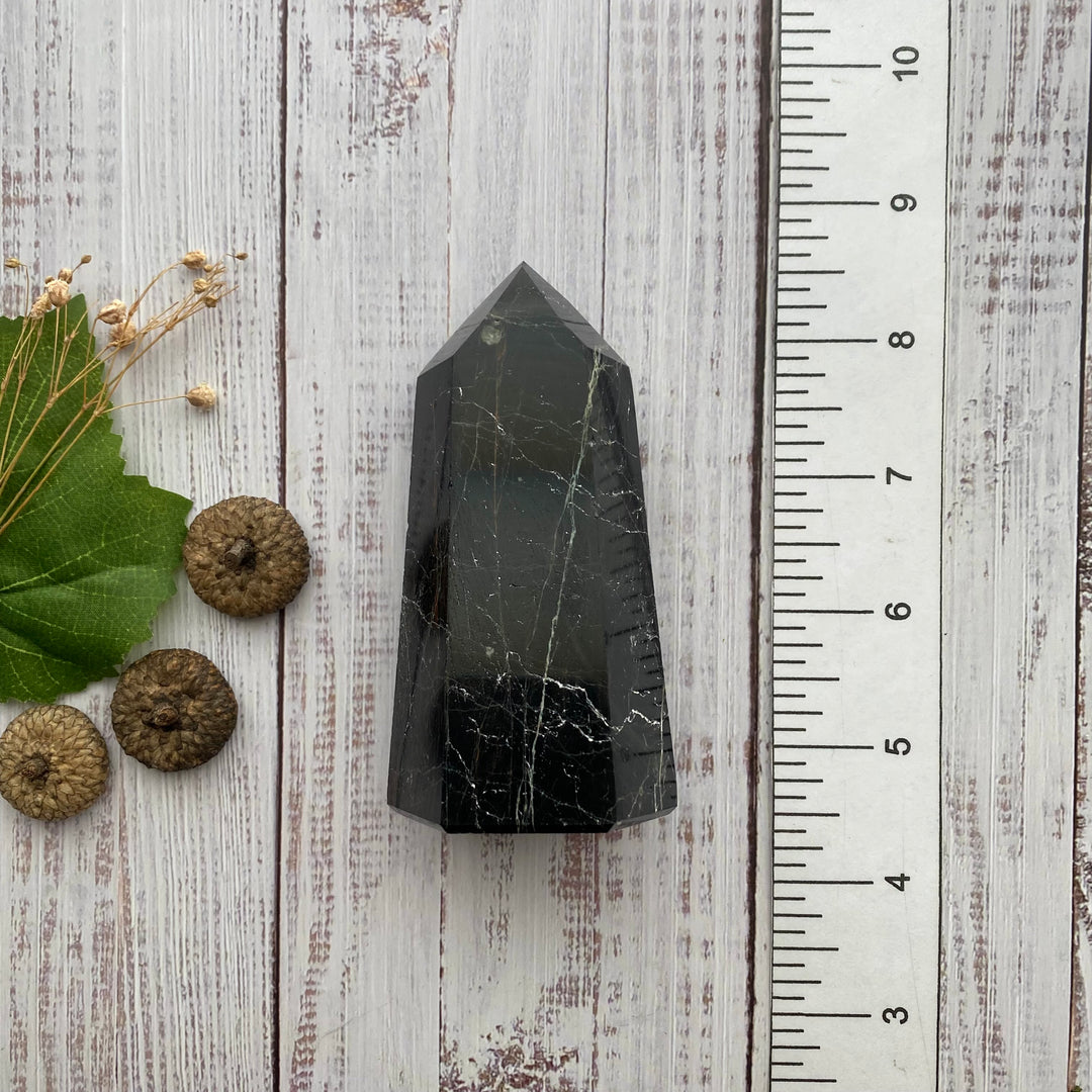 Black Tourmaline Red Jasper Point PT40-4