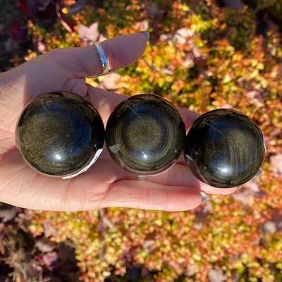 Goldsheen Obsidian Sphere SP14-3