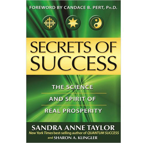 Secrets of Success by Sandra Anne Taylor